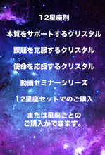 Load image into Gallery viewer, 12星座別サポートクリスタルミニセミナー動画
