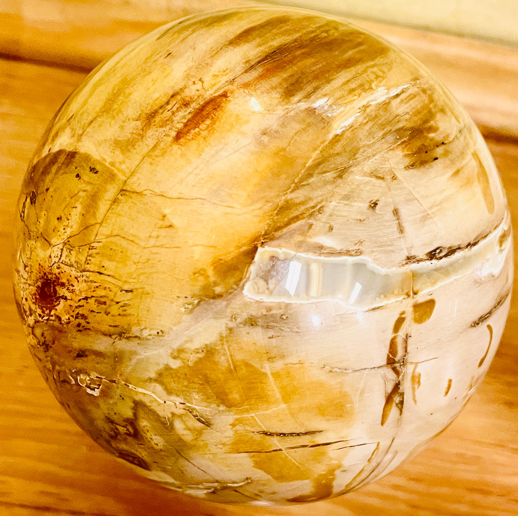 球体のクリスタル  ウッドフォッシルSphere 3